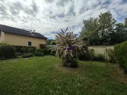 ***Perfektes Bauträger-Grundstück***700 m2 große Eckliegenschaft mit Altbestand zu verkaufen ***3 WE möglich***! Kaufpreis nochmals reduziert!!!