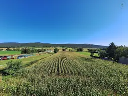 Aufleben in den Weinbergen | Exklusive Erstbezugswohnungen in der Thermenregion
