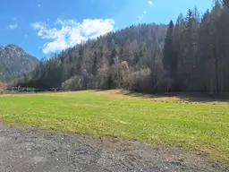 Traumgrundstück in absoluter Ruhelage angrenzend am Wald - nahe Mariazell