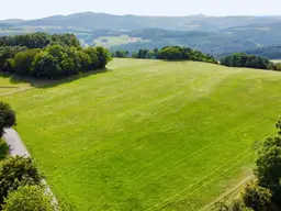 Grundstück mit Baumbestand für landwirtschaftliche Zwecke | 60.053 m² | Schwarzenbach in der Buckligen Welt