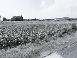 Klagenfurt Betriebsgrundstück