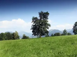 Mehrfamilienhaus mit Potenzial zum Verwirklichen eigener Träume in Angerberg