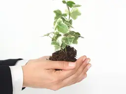 Exklusive Investments mit hoher Rendite. - Über 10% Netto-Rendite p.a.!