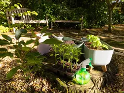 Kleingarten zur Pacht. - Neue Gartenanlage in Planung: Jetzt vormerken lassen!