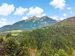 Wald und Alpenflächen im Lesachtal. - Umfassender Grundbesitz für Forst und Tierhaltung.