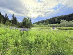 Ideales Grundstück für Ihr Wohnprojekt in der Gemeinde Velden am Wörthersee