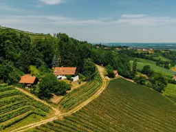 Alleinlage, Weinberge, Weitblick und Idylle – Ihr Rückzugsort am Graßnitzberg!