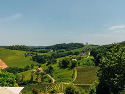 Umgeben von Weinbergen mit traumhaftem Weitblick - Alleinlage in der Südsteiermark!