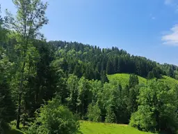 Mischwald mit Wiesenfläche und 2 Fischteiche