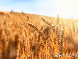 Ackerfläche mit ca. 1,5 ha zu verkaufen!