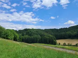 Die eigene Ranch auf 9,2ha Grund und Wald verwirklichen (Provisionsfrei)