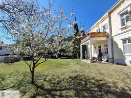 Frühlingserwachen in Bad Vöslauer Villa