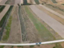 Landwirtschaftliches Grundstück in der KG Bockfließ - 5834m2