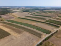 Landwirtschaftliches Grundstück in der KG Bockfließ - 5681m2