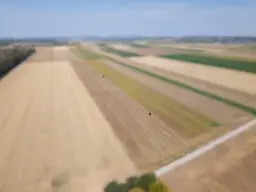 Landwirtschaftliches Grundstück in der KG Großengersdorf - 27952m2