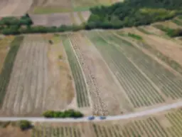 Landwirtschaftliches Grundstück in der KG Auersthal - 2183m2
