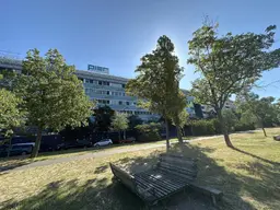 Helle Büros am Donaukanal im PIER 50
