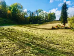 SONNIGES WOHNAMBIENTE IN WALDRANDLAGE!