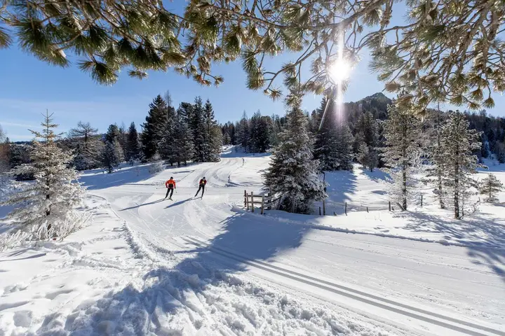 Keine KI - sondern Winter auf der Turracher Höhe!