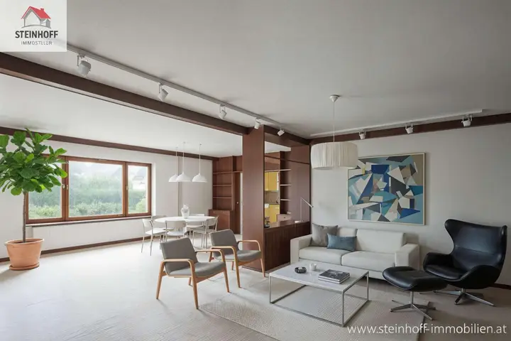 scandinave-living_room-gepetto(31)