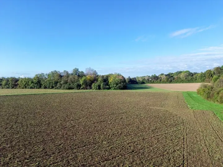 DJI_0535