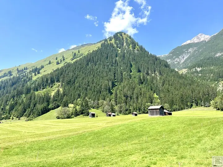 Grundstück