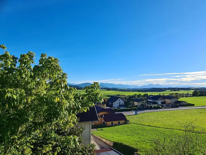 Ausblick
