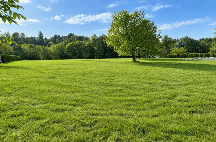 Ansicht West