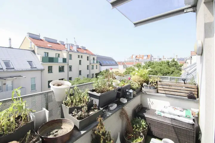 Su¨dbalkon(1)