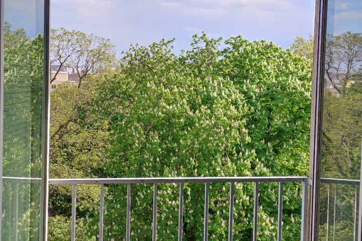 Dadlerpark