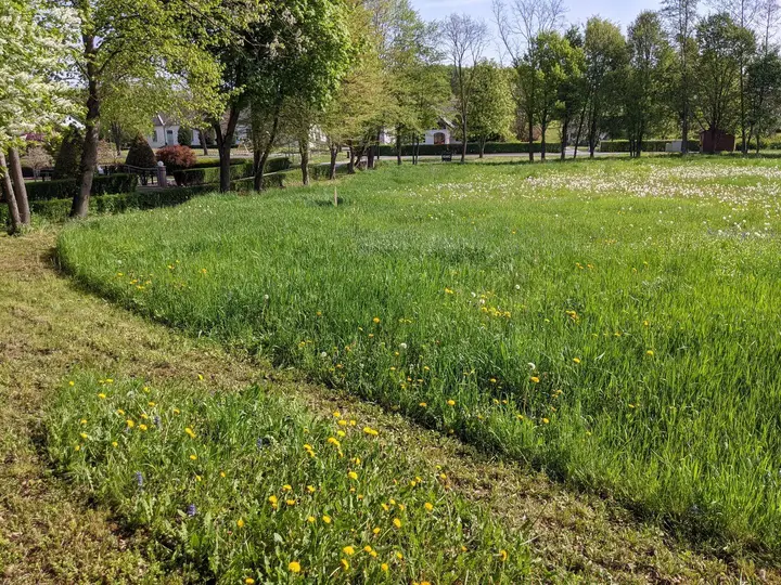 Sonnig, flach, zentral gelegen