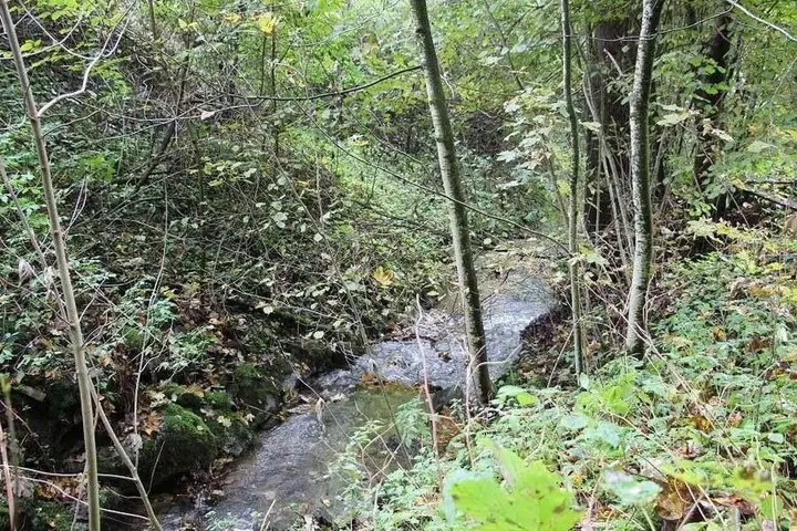 Wolfsbach
