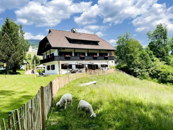 Ansicht