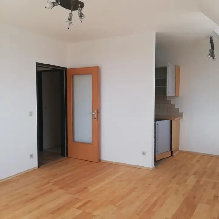 Pöck 2-17-3