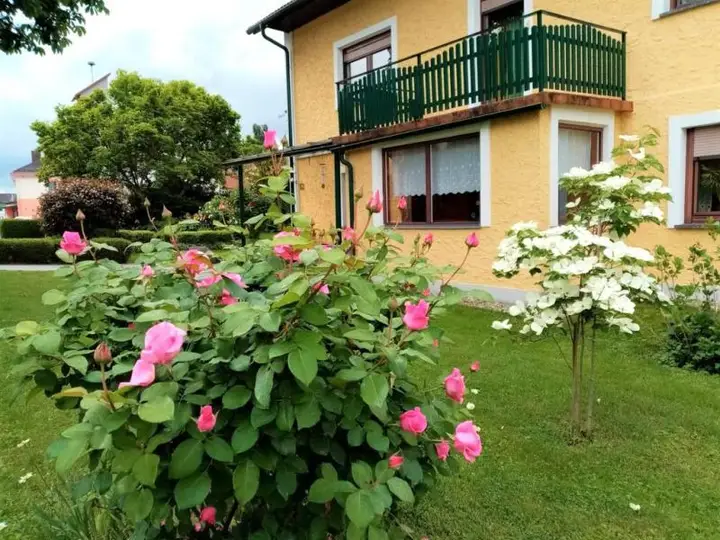 Einfamilienhaus_connexa_2.jpg