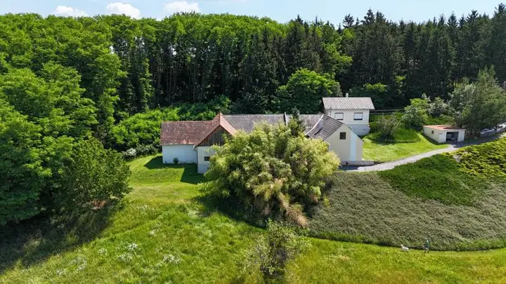 Einfamilienhaus_connexa_28.jpg