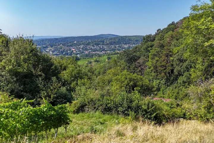 Luftbild