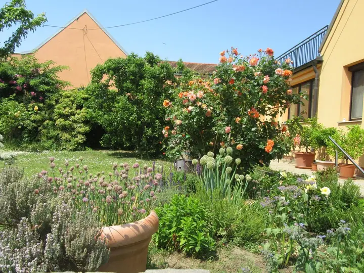 1 Garten