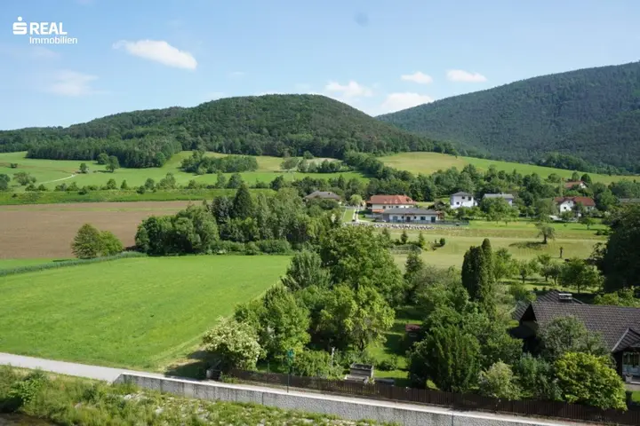 Ausblick