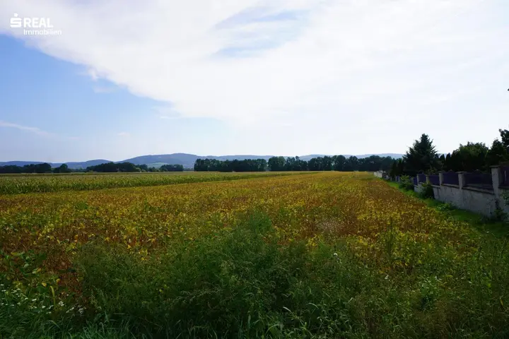 Weitblick vom Grundstück