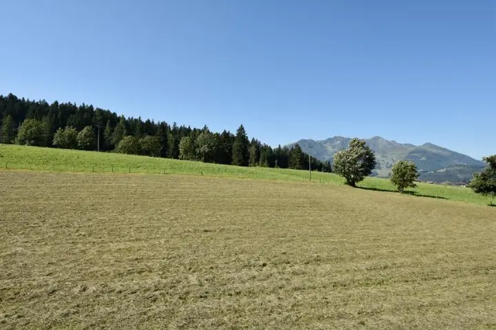 raiffeisen-immobilien-mietwohnung-hochfilzen16