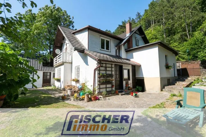 Gartenansicht des Hauses