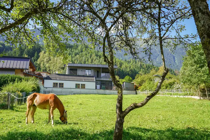 Blick Richtung Süd
