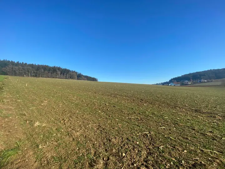 Baugründe am Sonnenhang