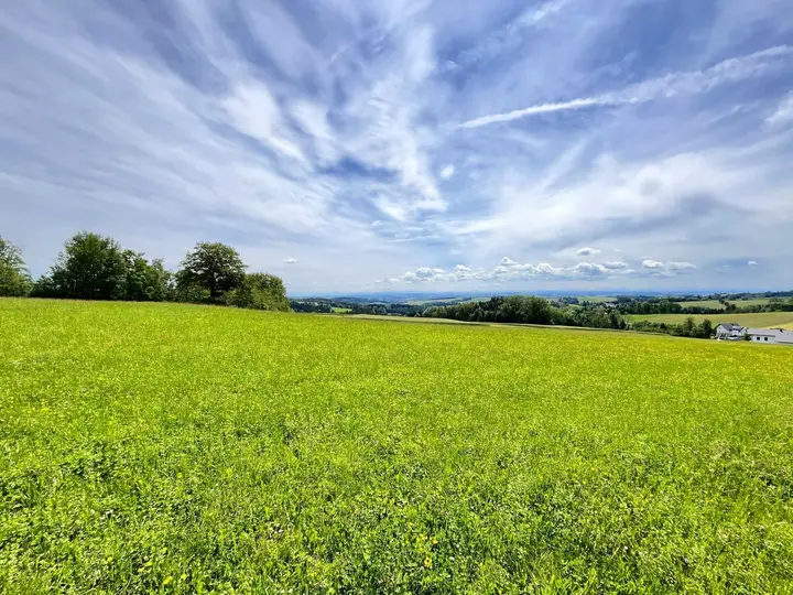 Blick ins Land