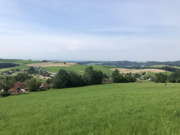 gesamte Projektfläche