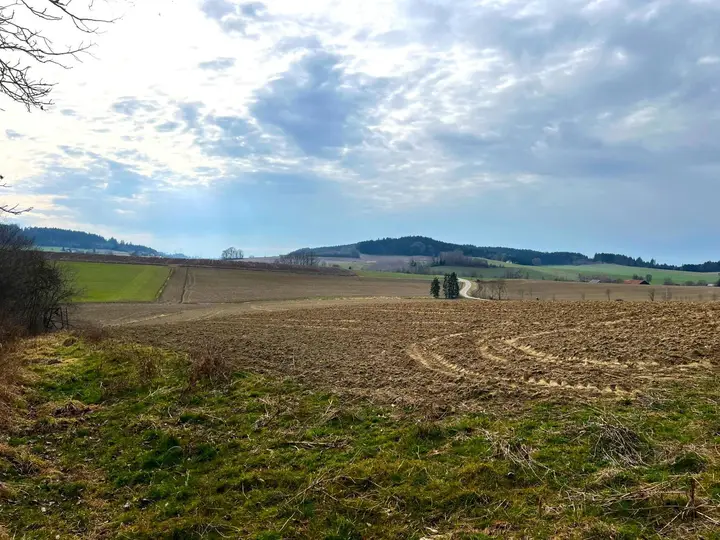 Ackerfläche