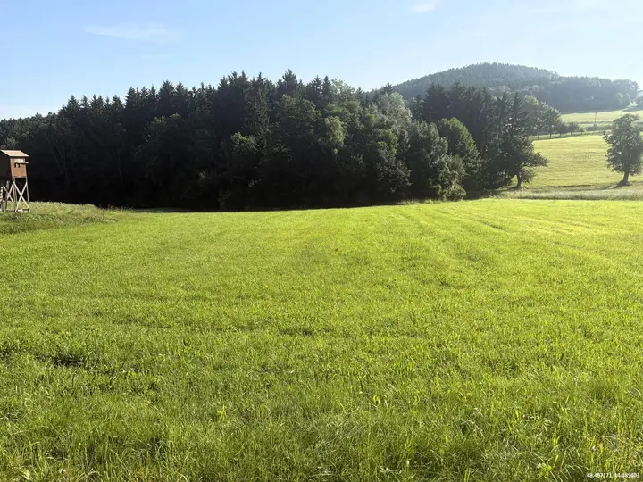 Landwirtschaftliche Fläche