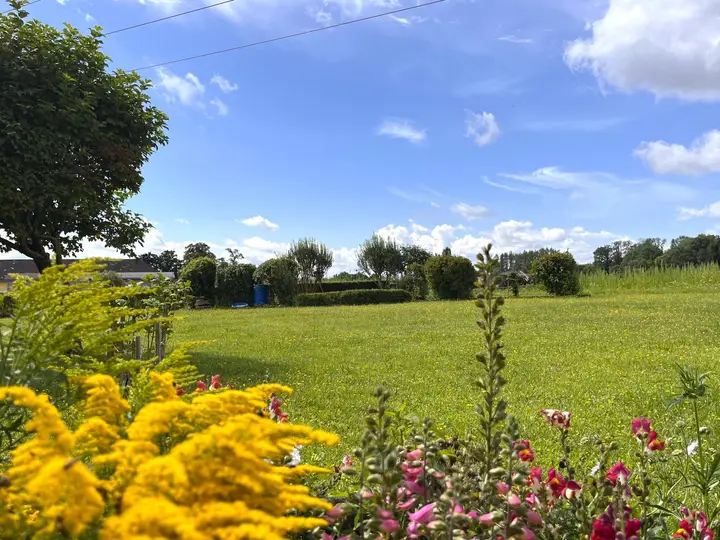 Blick ins Grüne
