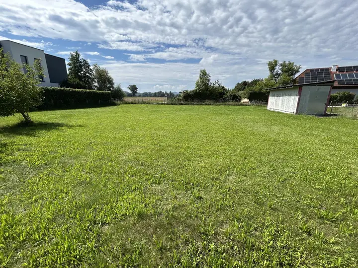 20250805_Baugrund Leppersdorf (17)